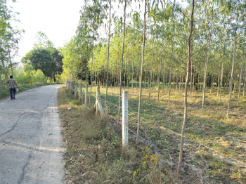 10 Bigha Agriculture farm land for sale Near Biharigarh Dehradun