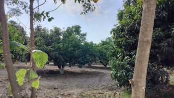 10 Bigha Agriculture farm land for sale Near Biharigarh uttarakhand