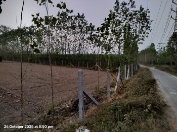5 Bigha Agriculture farm land for sale Near musail janta Road Saharanpur