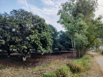 Property for sale in Chhutmalpur, Saharanpur