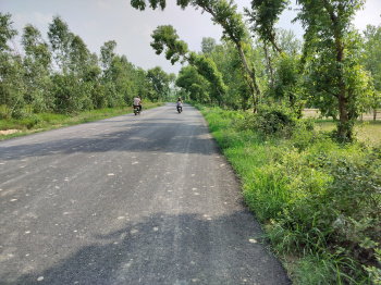 100 Bigha land for sale Near dehli Dehradun Highway Biharigarh uttarakhand