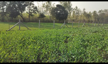 4 Bigha Agriculture farm land for sale Near Biharigarh uttarakhand