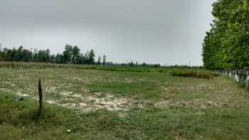 25 Bigha Agriculture farm house land for sale Near Biharigarh Dehradun Uttarakhand