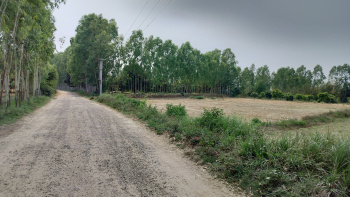 18 Bigha Agriculture farm house land for sale Near Biharigarh Dehradun Uttarakhand