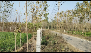5 Bigha Agriculture farm house land for sale Near barauli Saharanpur