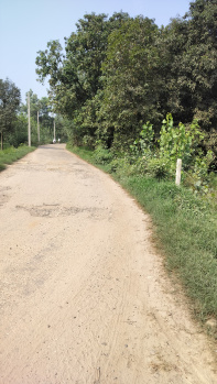 6.5 Bigha Agriculture farm land for sale Near Chhutmalpur