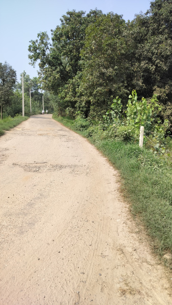 6.5 Bigha Agriculture farm land for sale Near Chhutmalpur