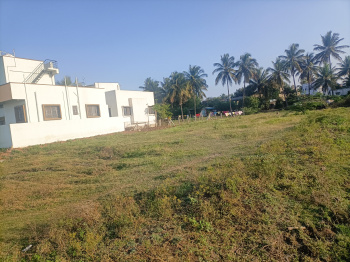 Collector NA 7 Guntha plot for sell in waranali ,near  Chanakya Chowk, 150ft road(sutgirni -pallavi hotel road) ,sangli