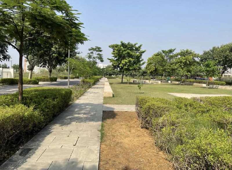 711 Sq. Yards Residential Plot for Sale in Sector 73, Gurgaon