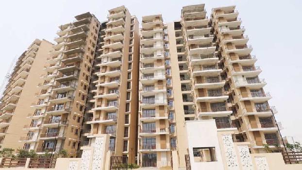 1 RK Flats & Apartments for Sale in Sector 81, Gurgaon (568 Sq.ft.)
