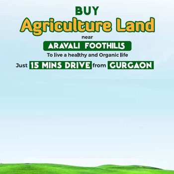 Property for sale in Gairatpur Bas, Gurgaon