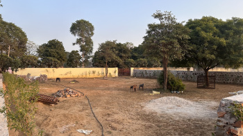 Property for sale in Tauru, Nuh