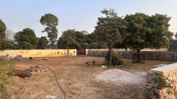 Property for sale in Ferozepur Jhirka, Nuh