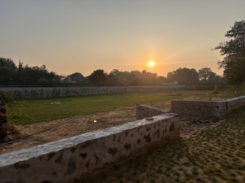 Property for sale in Ferozepur Jhirka, Nuh