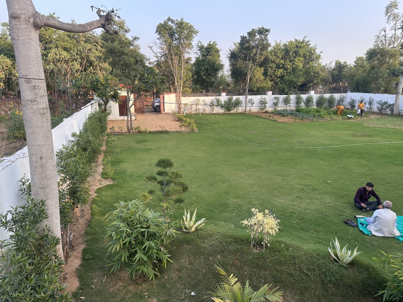 1300 Sq. Yards Agricultural/Farm Land for Sale in Pachgaon, Gurgaon