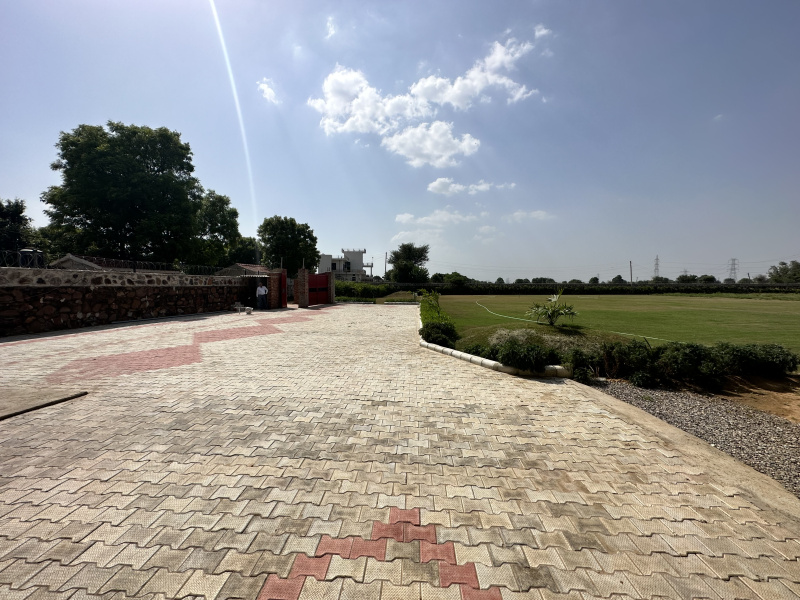 1800 Sq. Yards Agricultural/Farm Land for Sale in Pachgaon, Gurgaon