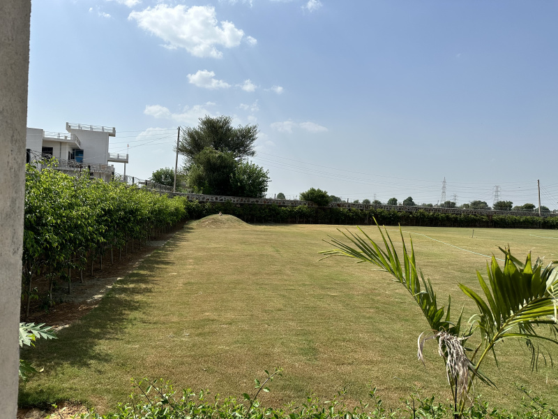 1800 Sq. Yards Agricultural/Farm Land for Sale in Pachgaon, Gurgaon