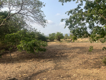 4 Acer property for sale near upcoming (Revas karanja road)