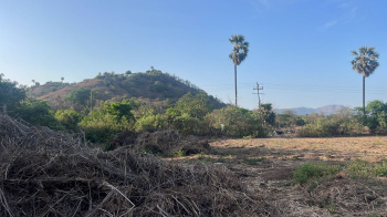 15 guntha plots for sale Choul Varande