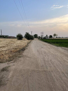 8 Acre Agricultural/Farm Land for Sale in Pakhowal Road, Ludhiana