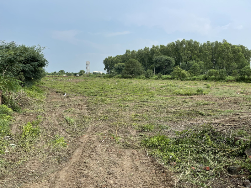 7 Acre Agricultural/Farm Land For Sale In Ferozepur Road, Ludhiana