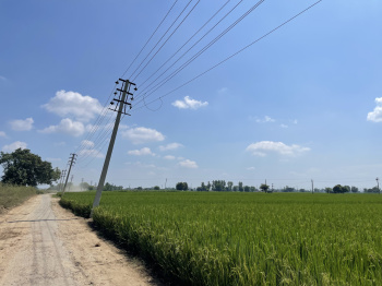 Property for sale in Lalton Kalan, Ludhiana