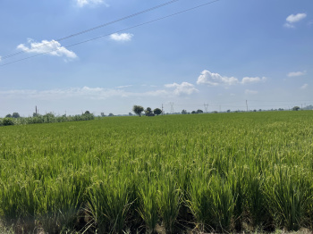 Property for sale in Lalton Kalan, Ludhiana