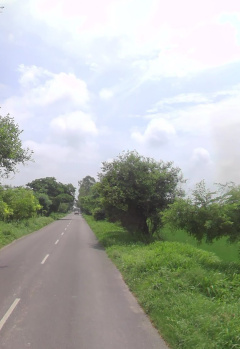 6 Acre Agricultural/Farm Land for Sale in Pakhowal Road, Ludhiana