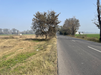2.75 Acre Agricultural/Farm Land for Sale in Pakhowal Road, Ludhiana