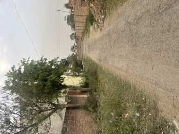 550 Sq. Yards Residential Plot for Sale in Pakhowal Road, Ludhiana