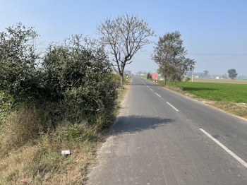 1 Acre Agricultural/Farm Land for Sale in Pakhowal Road, Ludhiana