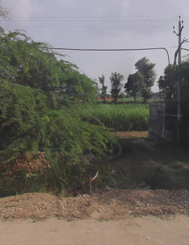 3 Acre Agricultural/Farm Land for Sale in Ferozepur road, Ludhiana