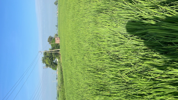 Residential Plot for Sale in Pakhowal Road, Ludhiana (4 Acre)