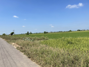 Residential Plot for Sale in Pakhowal Road, Ludhiana (8 Acre)