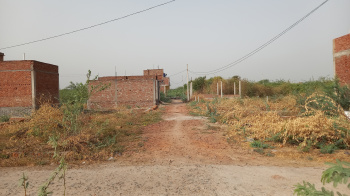 Farm House, Unfinished, Tribhuwan Kheda, Unnao