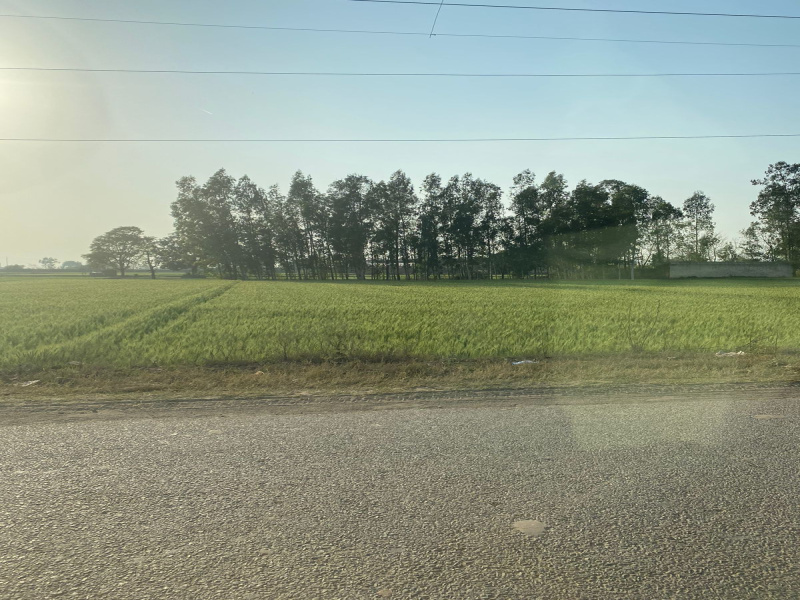 50 Acre Agricultural/Farm Land for Sale in New Chandigarh, Chandigarh