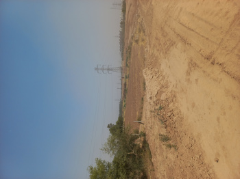 5 Acre Agricultural/Farm Land for Sale in Landran Banur Road, Mohali