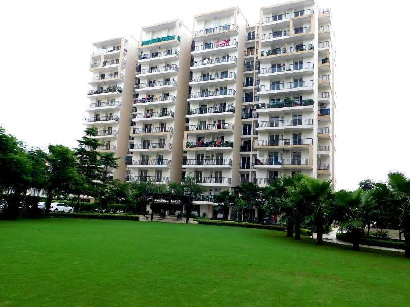 3 BHK Flats & Apartments for Sale in Highland Marg, Zirakpur (1343 Sq.ft.)