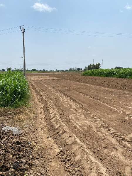5 Acre Agricultural/Farm Land for Sale in Mullanpur, Mohali (-5 Acre)