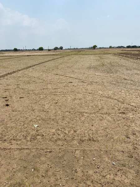 5 Acre Agricultural/Farm Land for Sale in Mullanpur, Mohali (-5 Acre)