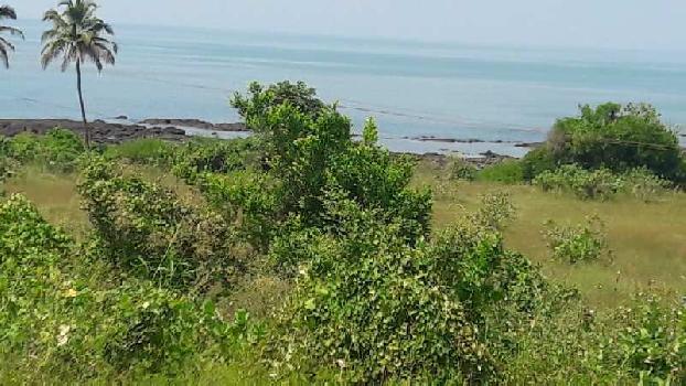 30 acres tar road touch agricultural land for sale near shrivardhan  raigad