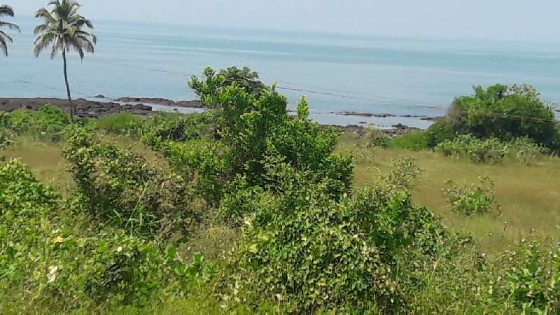 30 Acres Tar Road Touch Agricultural Land For Sale Near Shrivardhan  Raigad