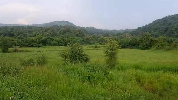 Property for sale in Indapur, Raigad