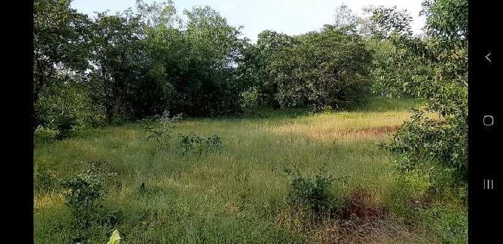 150 acres agricultural land for sale near mhasla raigad