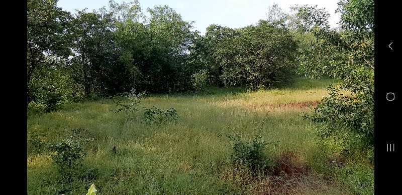 150 Acres Agricultural Land For Sale Near Mhasla Raigad