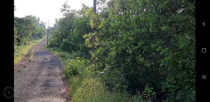 Property for sale in Tala, Raigad