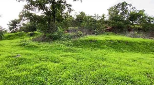 130 acres land in Tala for farmhouse, Tree plantation and plotting