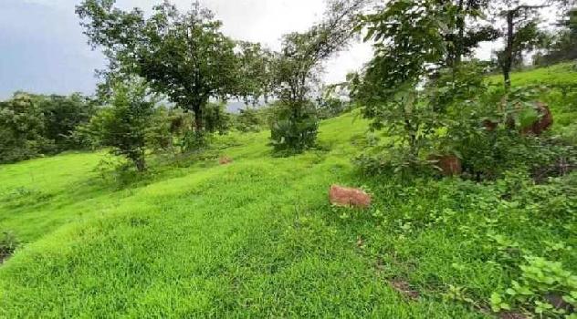 Property for sale in Morba, Raigad