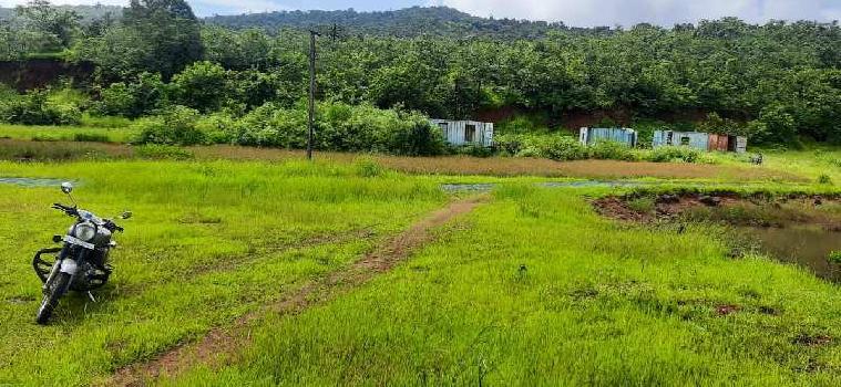 100 acres river touch agricultural land near mahad raigad