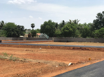 1000 Sq.ft. Residential Plot for Sale in Somarasempettai, Tiruchirappalli